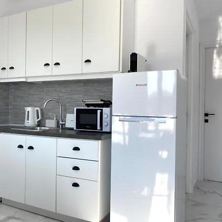 아파트 Alexandros Luxury